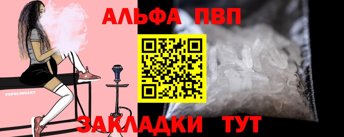 Alfa_PVP СК Мончегорск
