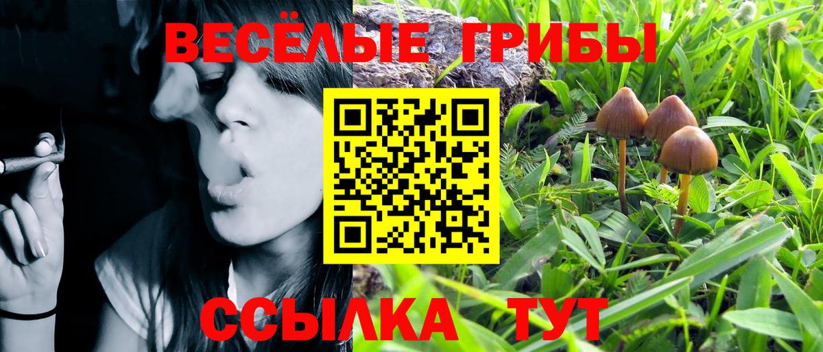 Псилоцибиновые грибы MAGIC MUSHROOMS Мончегорск