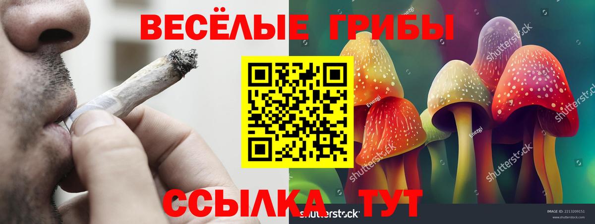 Мончегорск  Псилоцибиновые грибы Magic Shrooms  Вход с VPN  купить наркотик  Галлюциногенные грибы ЛСД 